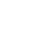 Gun Icon